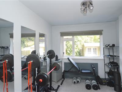 Picture 16